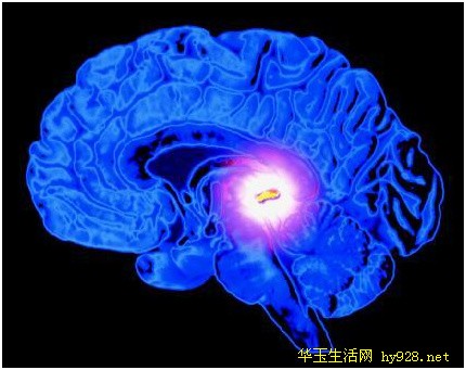 松果体、第三只眼、金字塔、数字33,这些我们人人都需要知道的世间宗教神秘。 松果体、第三只眼、金字塔、数字33,这些我们人人都需要知道的世间宗教神秘。