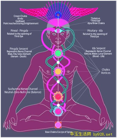 松果体、第三只眼、金字塔、数字33,这些我们人人都需要知道的世间宗教神秘。 松果体、第三只眼、金字塔、数字33,这些我们人人都需要知道的世间宗教神秘。